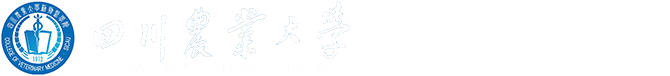 冰球突破mg正规官网